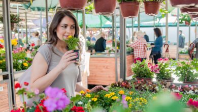 Dutch Country Farmers Market