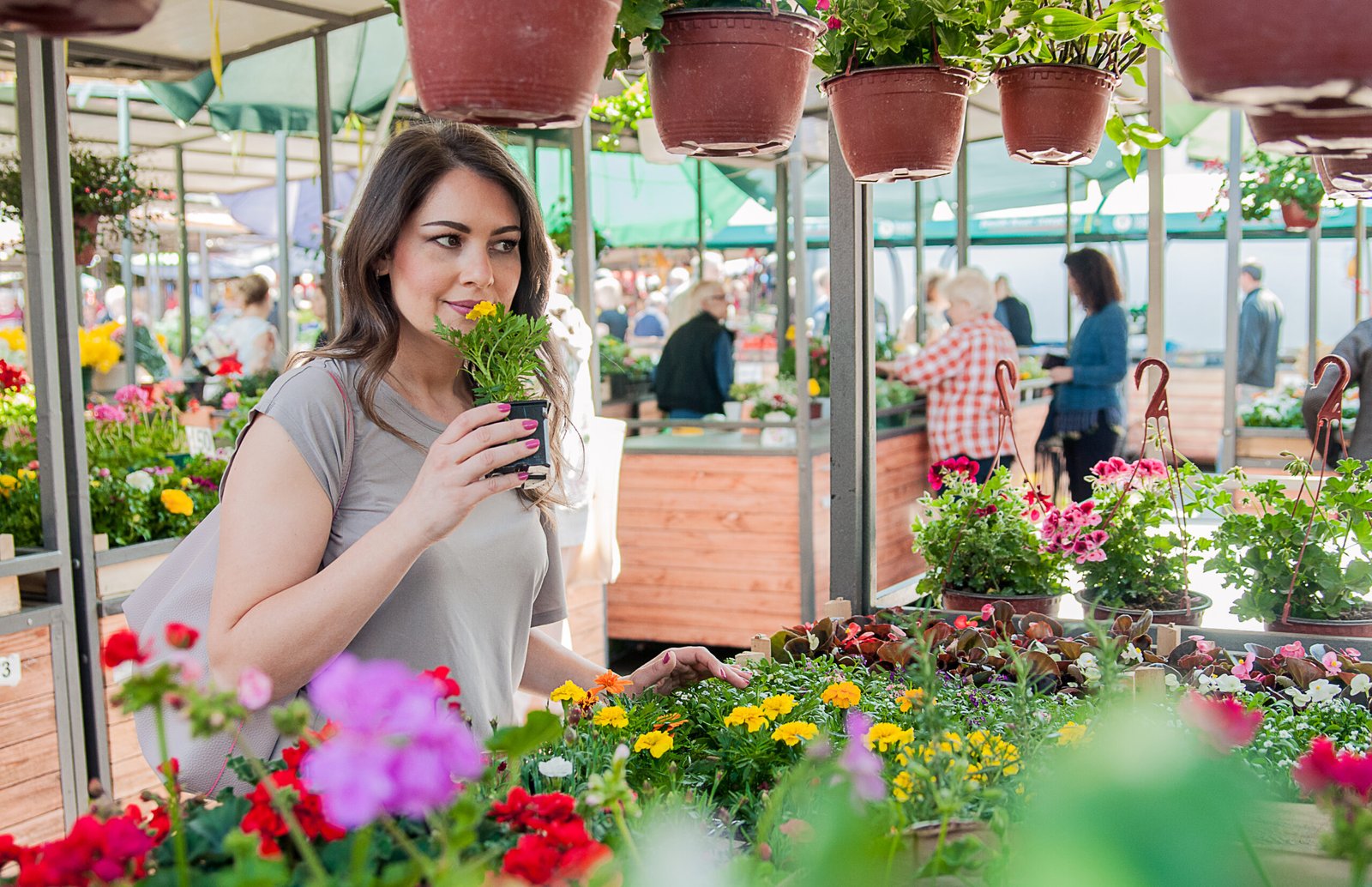 Dutch Country Farmers Market